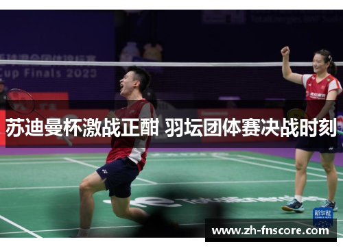 苏迪曼杯激战正酣 羽坛团体赛决战时刻